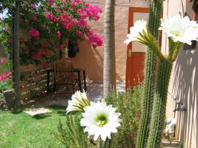 Apartment Malleson Garden Kapstadt